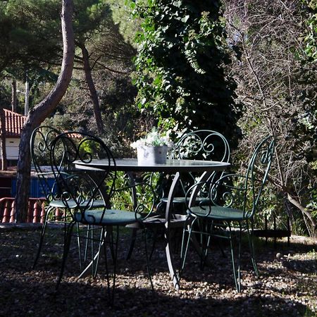 Apartment Vacarisses Torreblanca Estacion, Piscina Privada מראה חיצוני תמונה